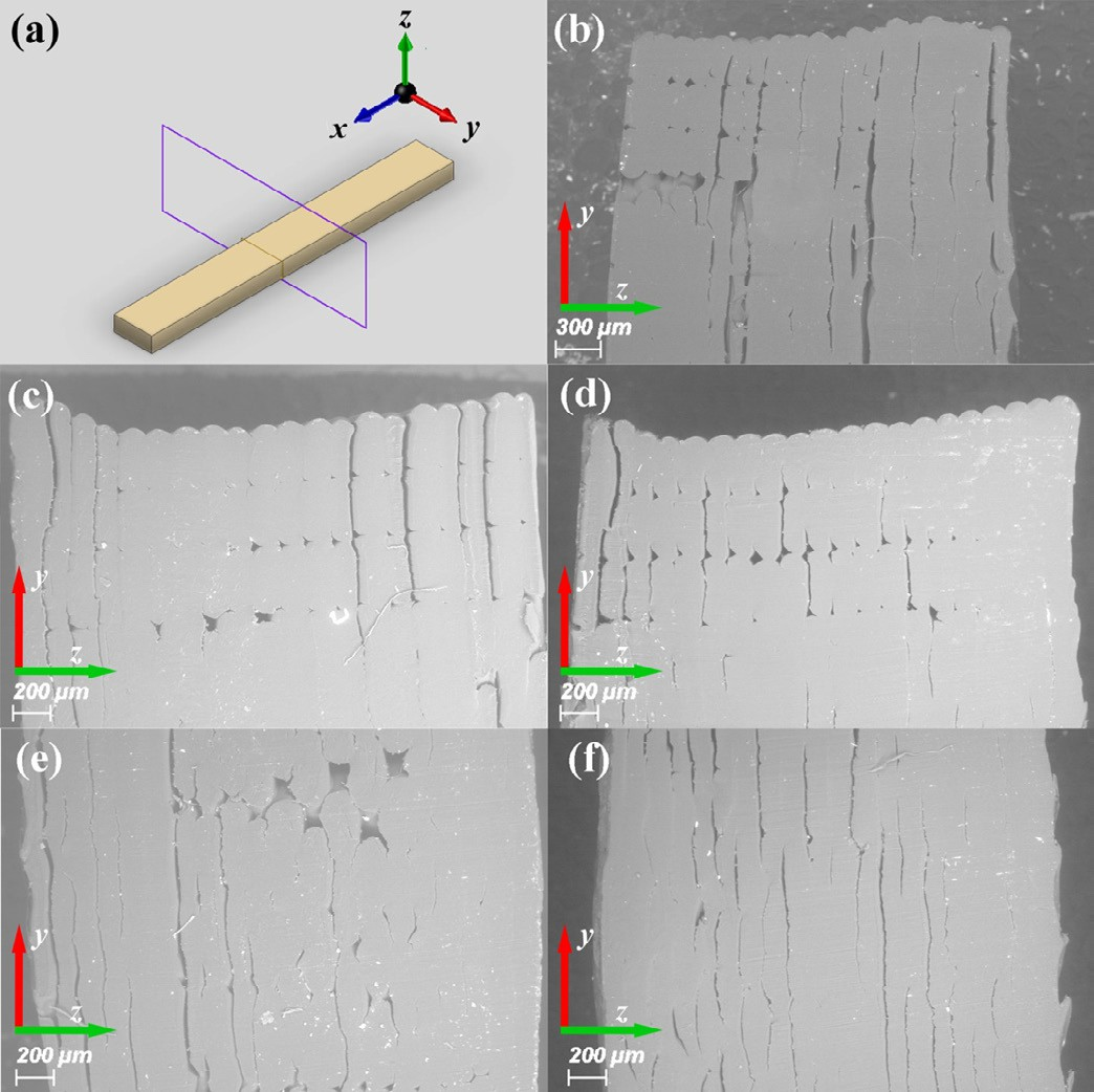 SEM images of specimen cross-sections.